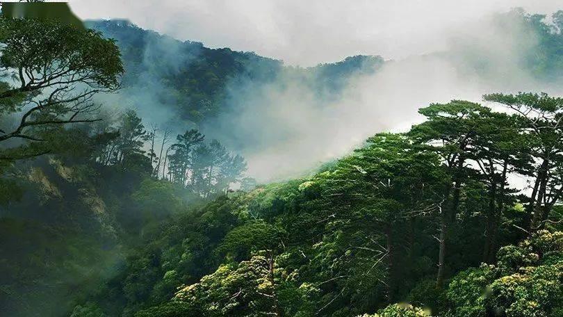 植物大战僵尸3
